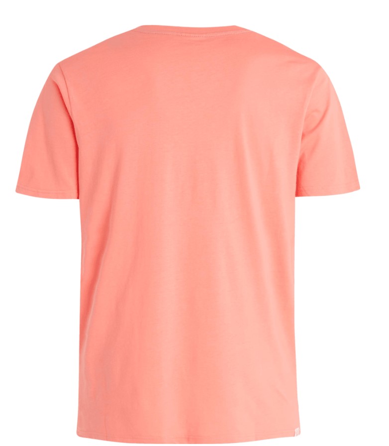 MNS PRTAHAIRD T-SHIRT SHELL PEACH