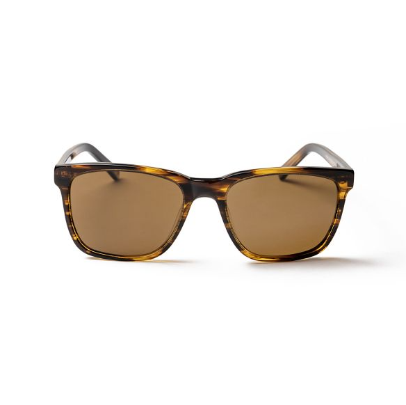 BURTON STRIPE BROWN BROWN LENSE