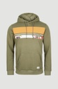 BLOCK HOODIE DEEP LICHEN GREEN